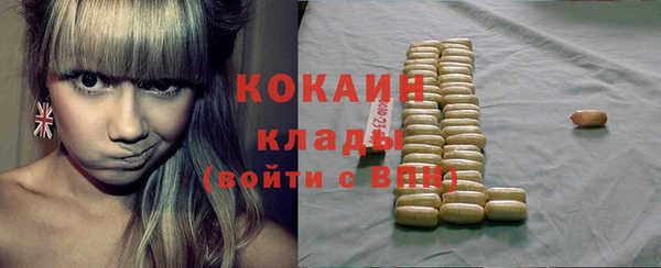 ГАЛЛЮЦИНОГЕННЫЕ ГРИБЫ Аркадак