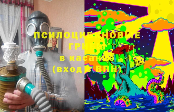 бошки Арсеньев